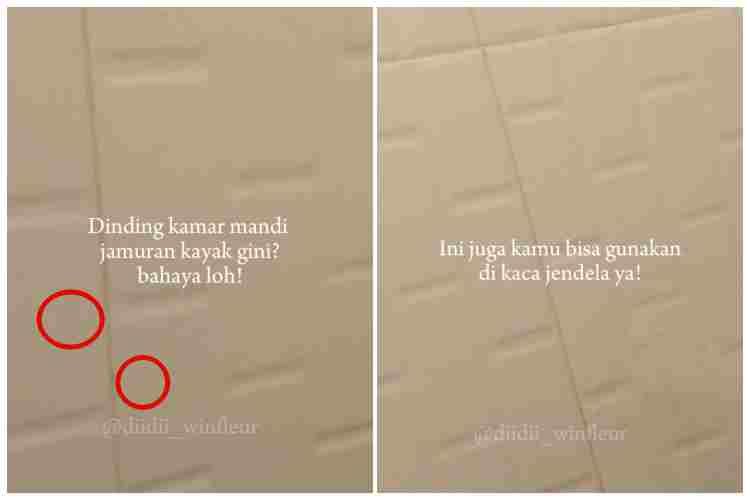 Daripada diolesi jeruk, berikut cara menghilangkan jamur di dinding kamar mandi menggunakan 2 bahan tambahan dapur.