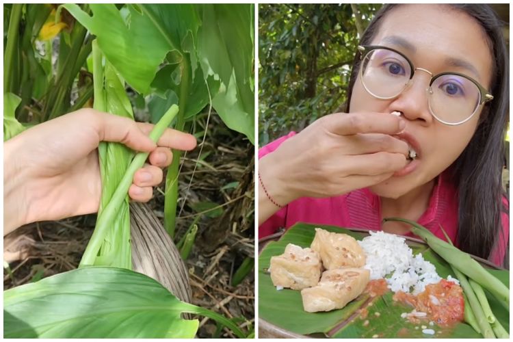 Wanita itu sangat senang makan daun kunyit yang digulung, apakah itu menyenangkan untuk halaman -halamannya?