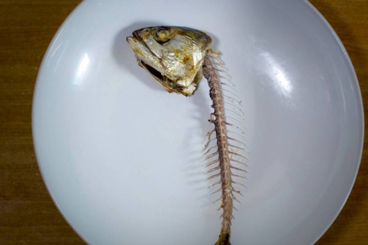 Duri ikan meletakkannya tetapi mengenakan nasi? Cobalah cara yang kuat ini untuk diatasi