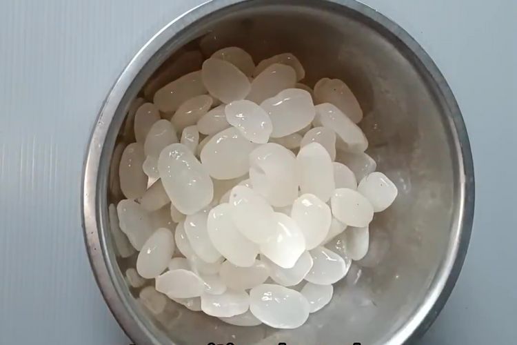 Apakah itu asam terakhir dan berlendir? Cuci dengan 1 Kitch Kitcher untuk dibersihkan