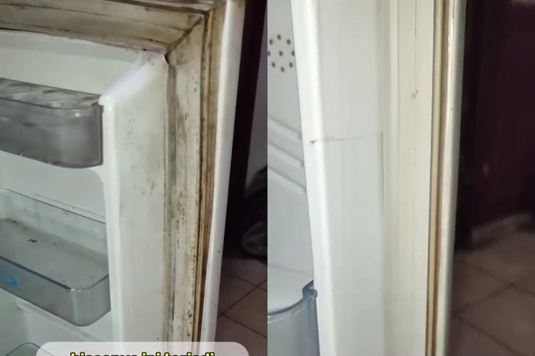 Trik Bersih Karet dan Pakar Kulkas Tanpa Pengampunan, Cukup Gunakan 2 Rumah Ini