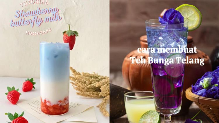 5 Cara Membuat Minuman Bunga Tlang Kedua Tanpa Blender, Warnanya Alami Enak