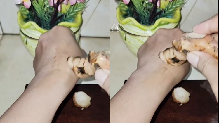 Tak hanya menggunakan minyak kayu putih, berikut cara mengatasi kulit gatal dengan menggunakan 1 ramuan rempah asam jawa.