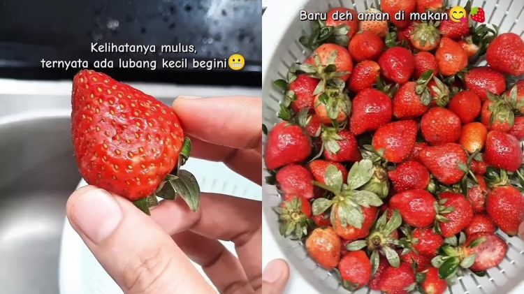 Tak hanya menggunakan air, ini trik mencuci buah beri agar bebas dari kotoran, pestisida, dan herbisida.